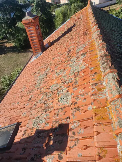 Avant : toiture envahie de mousses et de lichens